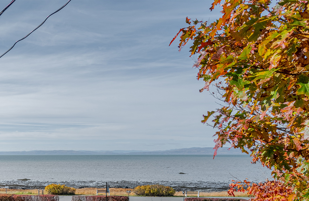 Overlooking the St-Lawrence river, our inn offers comfortable rooms, with a sitting area, Kamouraska bed and breakfast, dauphin et oiseau outdoor.